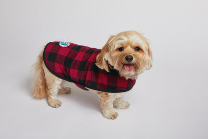 Port Authority® Pet Fleece Jacket (GREY/ BLACK BUFFALO CHECK)